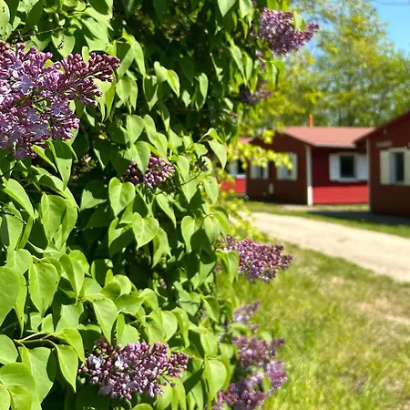 21 Holiday home